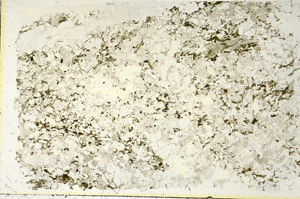 Plane Polarized, S87494
