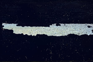 Cross Polarized, S87495