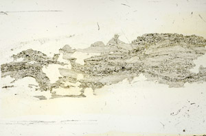 Plane Polarized, S87496