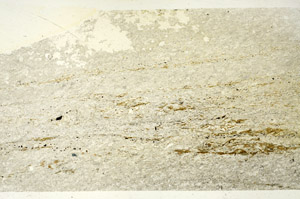 Plane Polarized, S87497