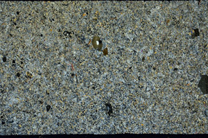 Cross Polarized, S87498