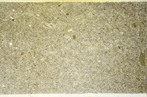 Plane Polarized, S87498