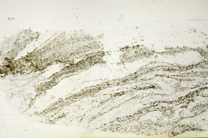 Plane Polarized, S87499