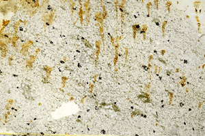 Plane Polarized, S87513