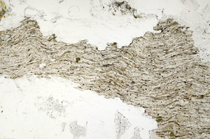 Plane Polarized, S87522