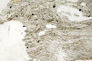 Plane Polarized, S87524