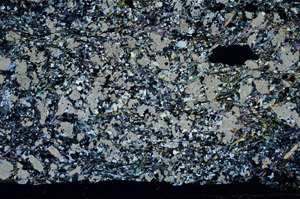 Cross Polarized, S87525