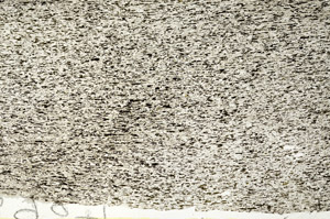 Plane Polarized, S87526