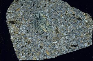 Cross Polarized, S87529