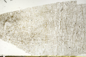 Plane Polarized, S87531