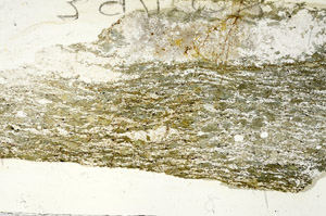 Plane Polarized, S87533