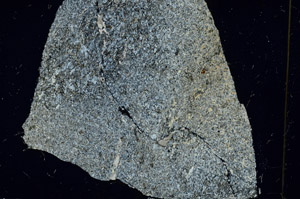 Cross Polarized, S87537