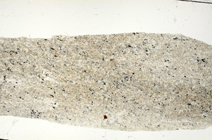 Plane Polarized, S87538