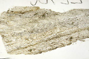 Plane Polarized, S87540