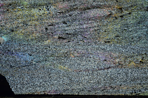 Cross Polarized, S87542