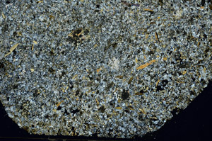 Cross Polarized, S87545
