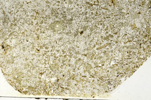 Plane Polarized, S87545