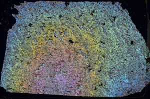 Cross Polarized, S87546