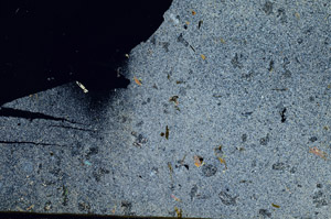Cross Polarized, S87548