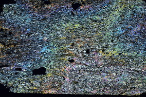 Cross Polarized, S87551