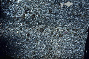 Cross Polarized, S87552