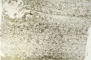 Plane Polarized, S87552