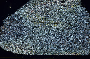Cross Polarized, S87555