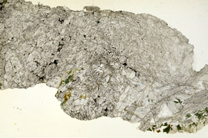Plane Polarized, S87561