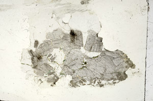 Plane Polarized, S87568
