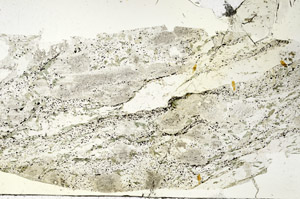 Plane Polarized, S87569