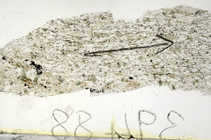 Plane Polarized, S87570