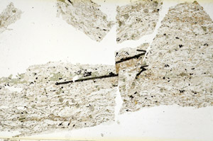 Plane Polarized, S87570/A