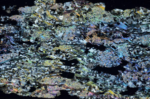 Cross Polarized, S87572
