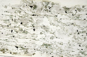 Plane Polarized, S87572
