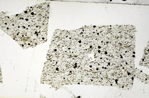 Plane Polarized, S87575