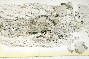 Plane Polarized, S87576