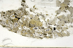 Plane Polarized, S87580