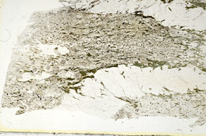 Plane Polarized, S87582