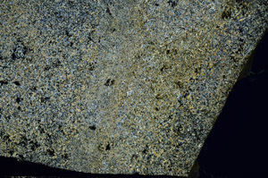 Cross Polarized, S87583