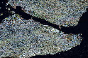 Cross Polarized, S87588