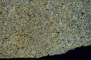 Cross Polarized, S87591