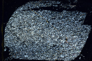 Cross Polarized, S87593