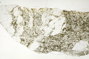 Plane Polarized, S87595