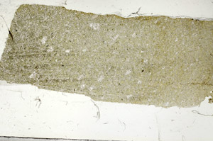 Plane Polarized, S87596
