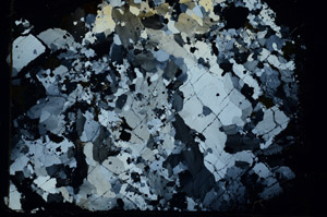 Cross Polarized, S87597