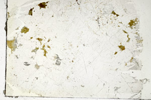 Plane Polarized, S87597