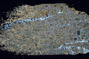 Cross Polarized, S87601