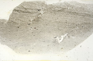 Plane Polarized, S87603