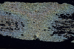 Cross Polarized, S87613