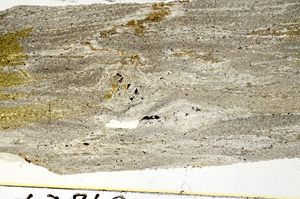 Plane Polarized, S87614